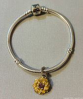 Full view of bracelet showing clasp and charm