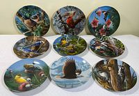 Nine bird collector plates laid out in rows