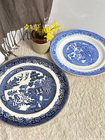 Two blue and white Asian motif plates on rug