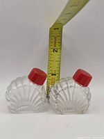 Front view of both glass seashell shakers beside measuring tape showing size