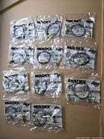 Twelve individually packaged Moldex SparkPlugs earplug sets arranged on surface