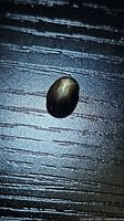 Oval black star sapphire on dark surface showing 6-ray star