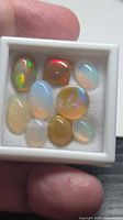 Nine opal cabochons in display case showing body tones and play-of-color