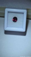 Top view of oval ruby in white plastic display box