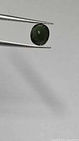 Front view of oval green tourmaline held by tweezers