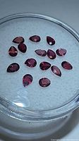 All 14 pear-cut rubies on foam pad in case