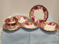 Group shot of teacup, saucer and four plates showing pattern and condition