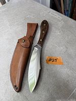Knife and sheath full view