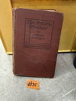 Front cover of 1920 hardcover The Prairie Mother showing title and wear