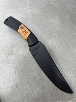 Buck fixed blade knife in sheath, full view