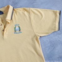 Front view of full polo shirt showing color, logo placement and overall condition