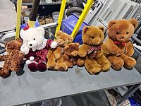 All six teddy bears lined on table displaying size and color range