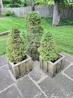 all three wooden planters with spruce shrubs