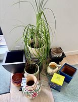 Group shot of all planters, plant, stand, glass vase and paperweight