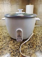Front view showing Salton rice cooker with control switch and lid