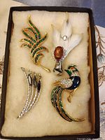 Box showing all four brooches on padding