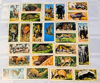 All cards laid out in grid showing variety of animal illustrations