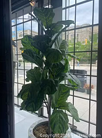 Full view of faux palm tree in planter