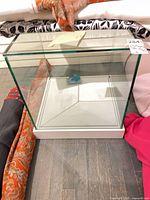 Front view of glass display case showing clear panels and white base