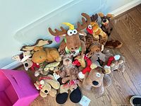 Group shot of all plush toys against wall to show overall quantity and variety