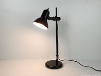 Lamp illuminated showing overall form and working condition