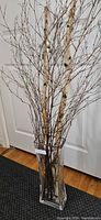 vase with birch branches and twigs