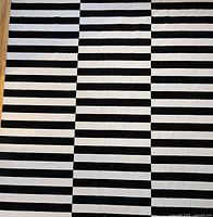 Full view of the rug showing black and white striped pattern