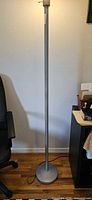 Full view of silver-tone metal floor lamp standing upright