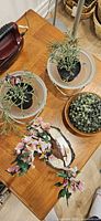 Top view showing all decorative items: blossom tree, two glass bowls with succulents, clay pot with shrub