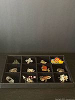 Full tray showing 15 brooches/pins