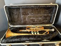 Trumpet inside open hard case