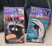 Front view of both VHS tapes showing cover art and titles