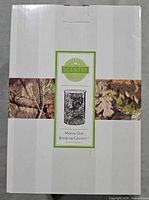 Front view of boxed Scentsy Mossy Oak Break-Up Country wax warmer
