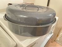 Roaster with lid on, showing exterior color and speckling