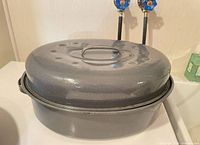 Roaster with lid in place showing exterior color and handles