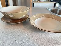 Dinner plates and serving bowl showing pattern and colors