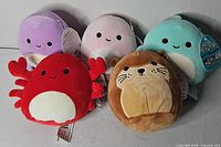 Group shot of five mini Squishmallows showing characters and tags