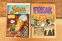 Front covers of both comics showing titles and artwork