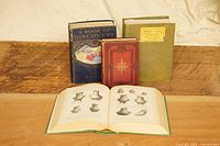 Group shot of all four books, one opened to plate