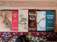 Three Julia Cameron hardcover books with dust jackets: The Artist's Way, Walking in This World, Finding Water