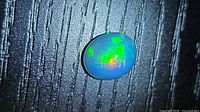 Oval jelly opal showing multicolor play-of-color on dark background