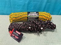 Both ropes side by side for overall view