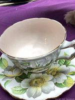 Teacup interior and exterior pattern with saucer partially visible