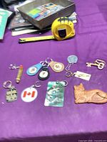 Group shot of all keychains on purple surface