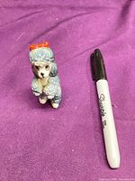 Front view of miniature Wade poodle beside marker for scale