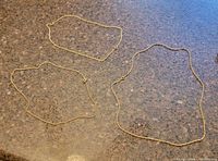 Overview of three gold-tone chain necklaces on countertop