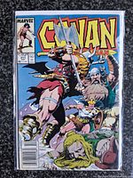Front cover of Conan the Barbarian #211 in bag and board