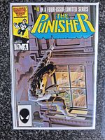 Front cover of The Punisher #4 in bag and board