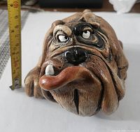 Front view showing facial features, coloration, tape measure for scale