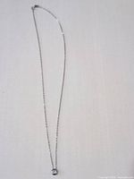 Full view of sterling silver necklace with pendant